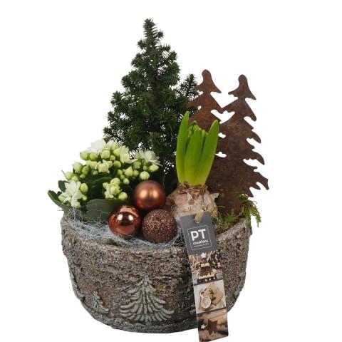 <h4>PTCHB9776 Arrangementen Kerst</h4>