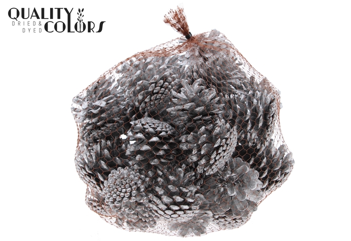 Pine cone 1 kg in net Silver