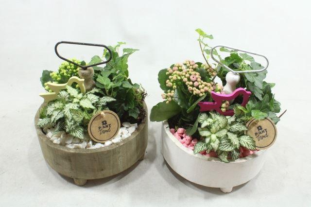 <h4>6908 ETAGERE ROND RO/WIT</h4>