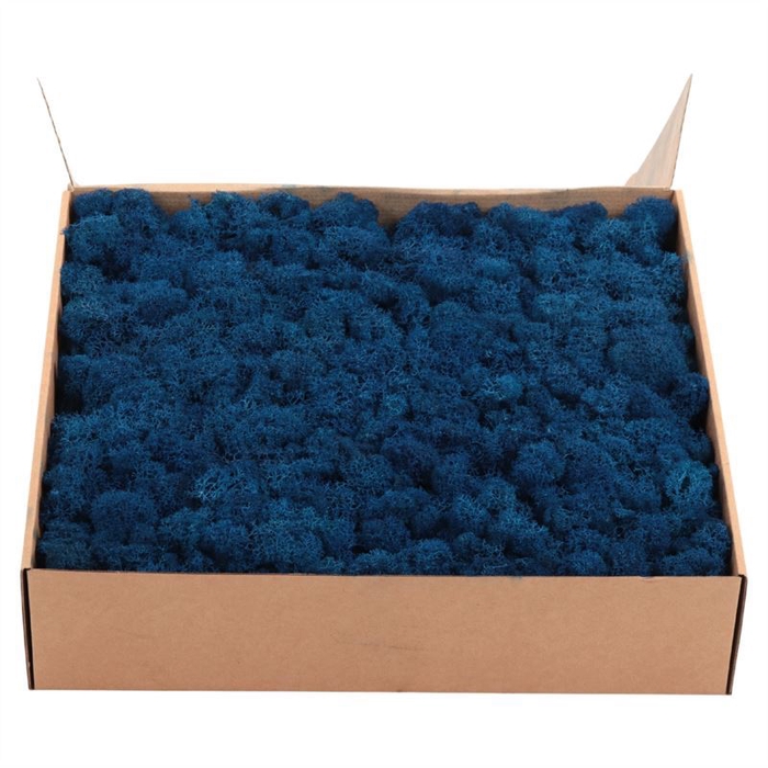 <h4>IJslandmos (Reindeer) Royal Blue</h4>