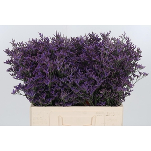 Lim Piuma Dark Blue