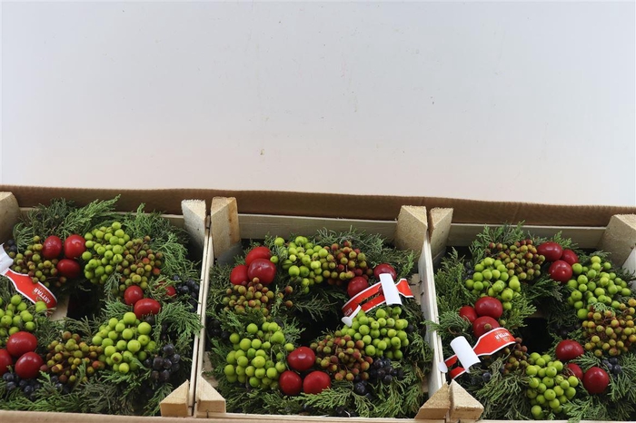 Wr Sierfruit 30cm (anttar)