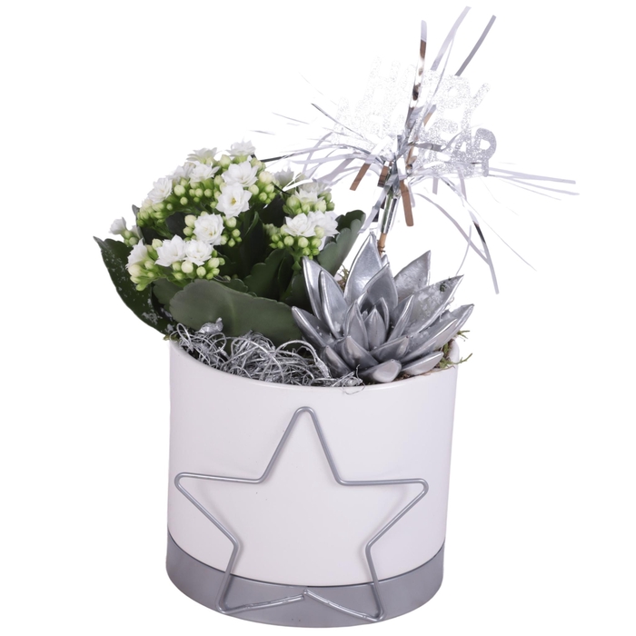 <h4>New Year Arr. Indoor Ceramic Pot Starframe Silver Ø13cm 2PP</h4>