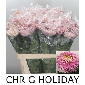 CHR G HOLIDAY