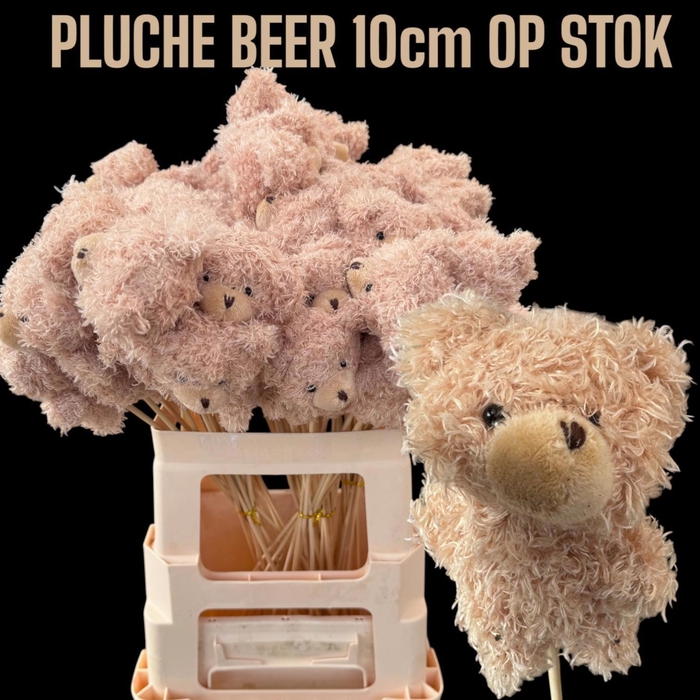 <h4>HUIS EN TUINDECO H%</h4>