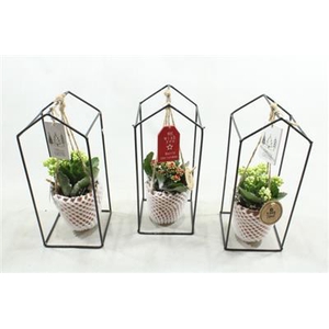 8780 ZINK FRAME+HANGER