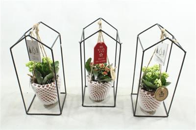 <h4>8780 ZINK FRAME+HANGER</h4>