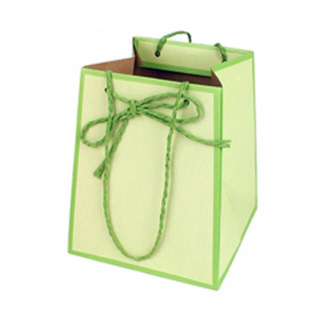 <h4>Bag Easy carton 12/12x15/15xH18cm green 20/bag</h4>