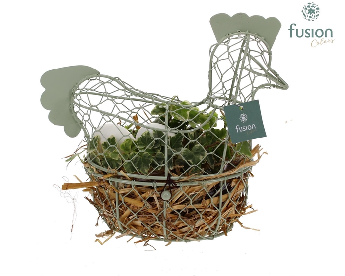 <h4>Pasen Kip gaas pastel met Hedera</h4>