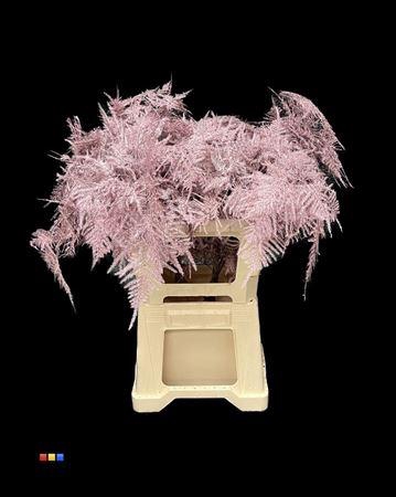 <h4>Asp Lang Metallic Pink</h4>