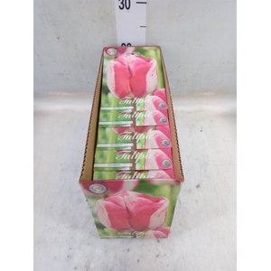 Tulipa   ...flowerbulbs