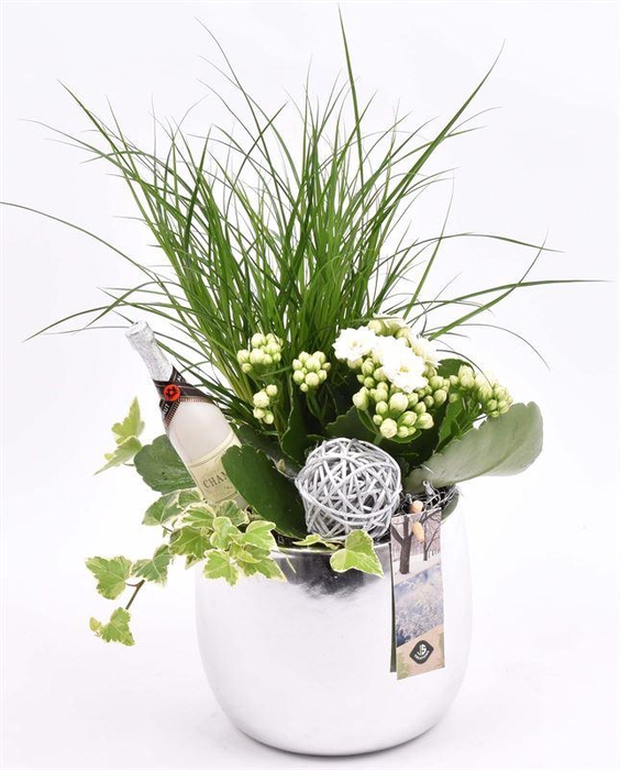 <h4>Keramiek pot zilver 13cm</h4>