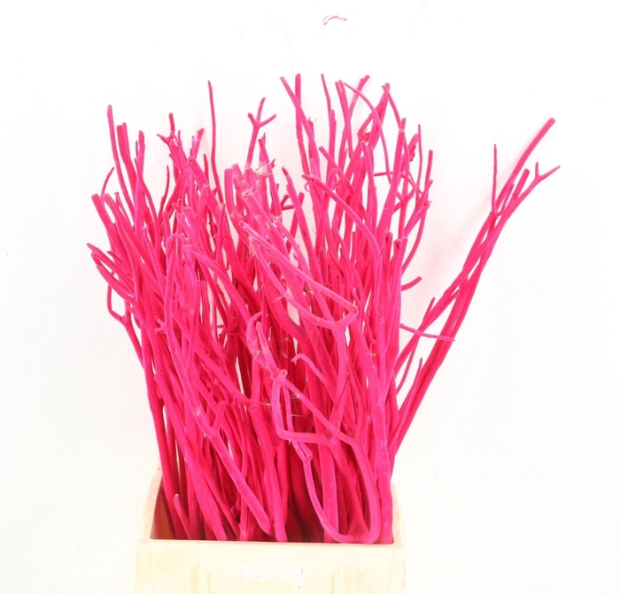 <h4>MITSUMATA H%</h4>