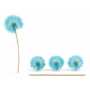 Dried Bleached Dandelion Sky Blue