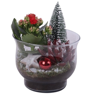 Christmas Arr. Indoor Glass Tulip Vase Ø16cm 2PP