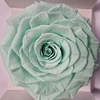 Ro Pres Xl Green Mint