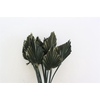 Dried Palm Spear 10pc Olive Gold Bunch