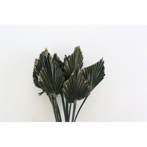 Dried Palm Spear 10pc Olive Gold Bunch