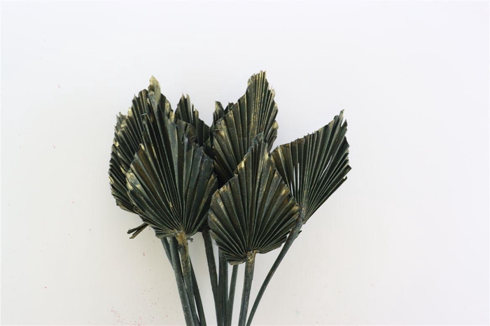 Dried Palm Spear 10pc Olive Gold Bunch