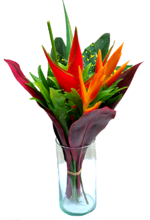 <h4>BQ Regular Helena</h4>