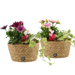 21997: Love outdoor arrangement