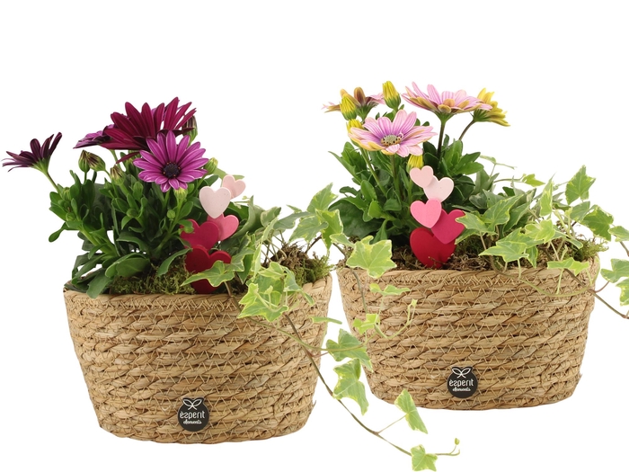 <h4>21997: Love outdoor arrangement</h4>