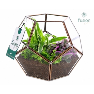 Geometrisch planter Medium met groenen planten arrangement