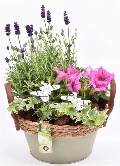 <h4>Zink schaal groen met touw 21cm</h4>