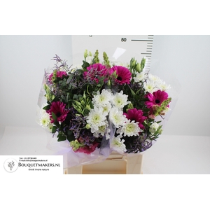 GEM BOEKET OV