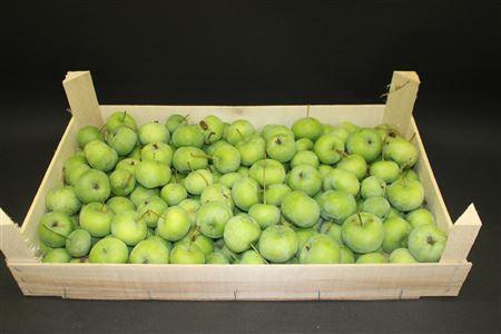 <h4>F Appel Groen 5kg</h4>