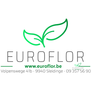 OASIS RAINBOW POEDER GOLD ZAK 250GR