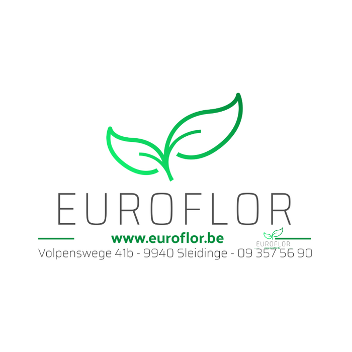 <h4>OASIS RAINBOW POEDER LIME GREEN 250gr</h4>