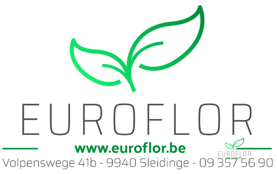 OASIS RAINBOW POEDER GOLD ZAK 250GR