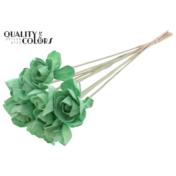 <h4>Shola Dear Holly 6cm on stem Mint Green</h4>