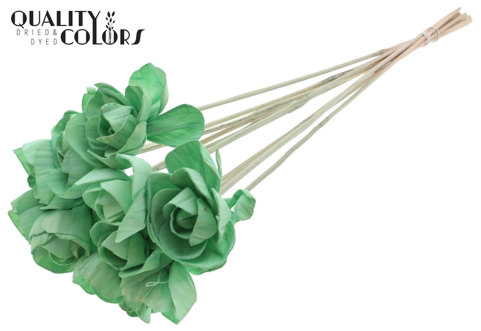 Shola Dear Holly 6cm on stem Mint Green