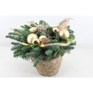 arr5 Kerst PL - Mand naturel x2 gold