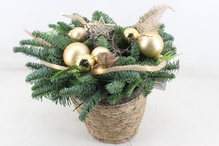 <h4>arr5 Kerst PL - Mand naturel x2 gold</h4>