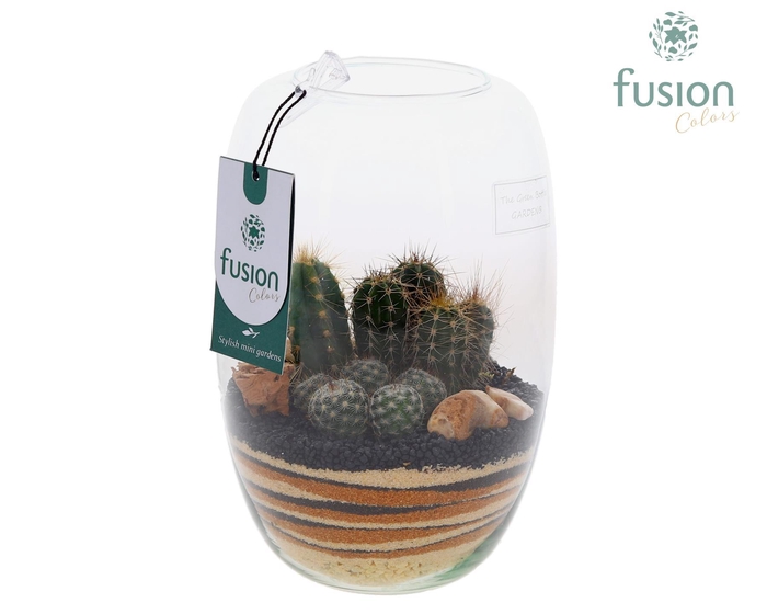 <h4>Green Bottle Isabella Small met zand arrangement</h4>