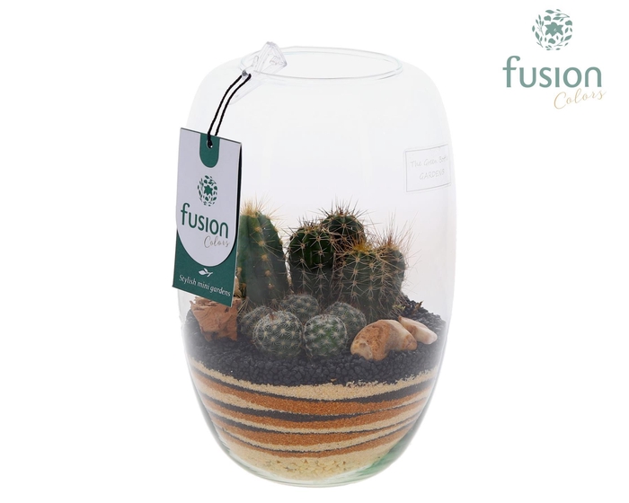 <h4>Green Bottle Isabella Small met zand arrangement</h4>