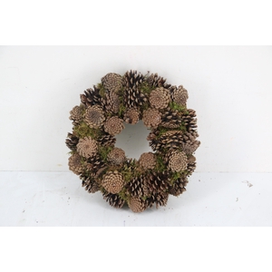 Wreath Moss Pine Cone Ø30