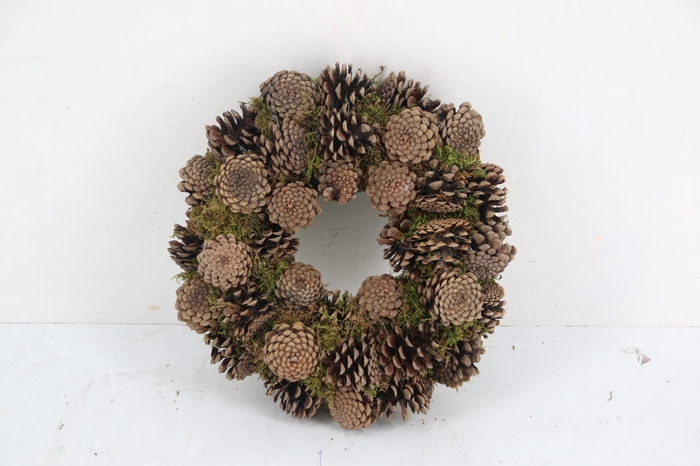 <h4>Wreath Moss Pine Cone Ø30</h4>