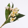 Frangipani Spray Cream Pink FL440284CPK