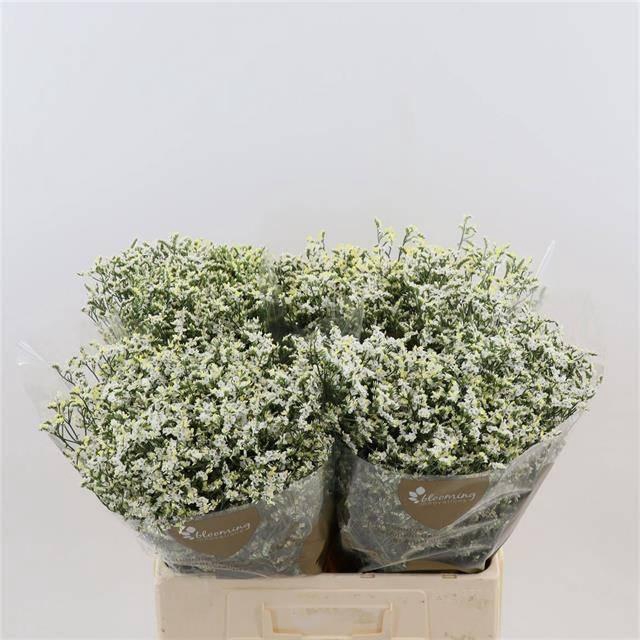 <h4>LIM SIN CHINA WHITE 25gr</h4>