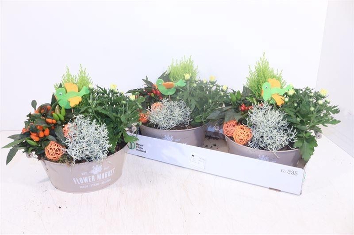 <h4>ARR TUINPLANTEN</h4>