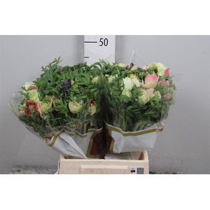 Anem Co Fullstar Gem