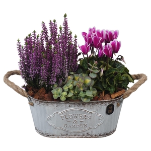 Arr.   Tuinplanten L%