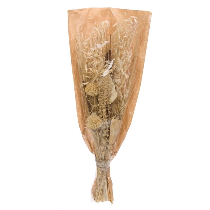 <h4>Bouquet fox ball mahogany bleached white</h4>