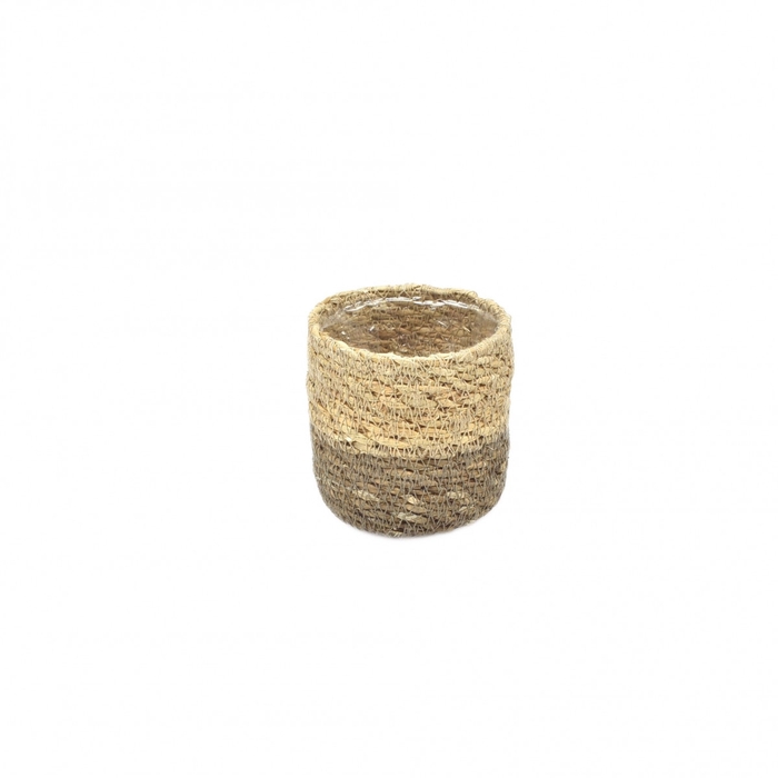 Baskets Mini pot d08*8cm