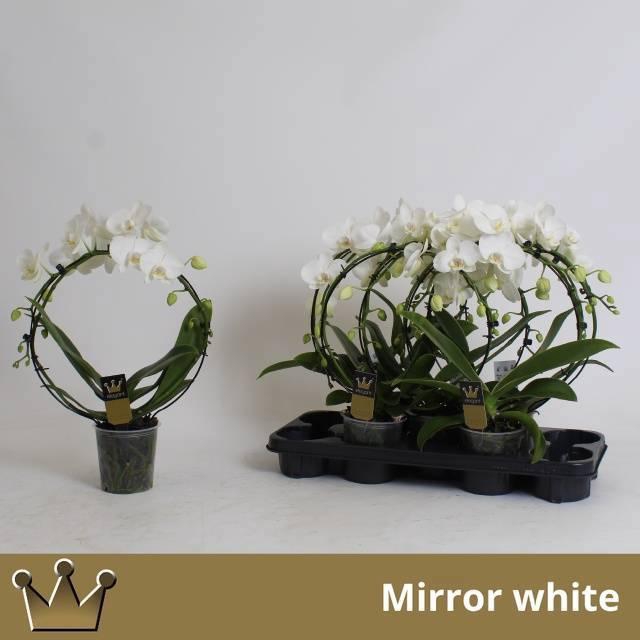 <h4>PHAL EL CASCADE</h4>