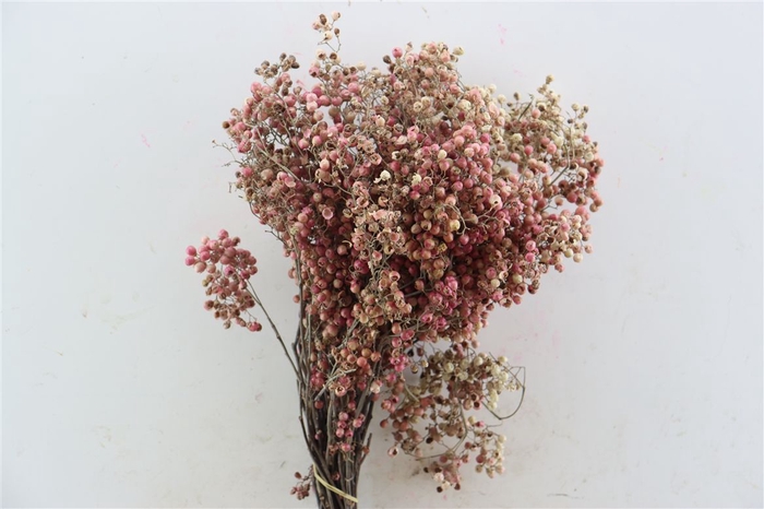 <h4>Schinus M Pink 200gr Natural</h4>